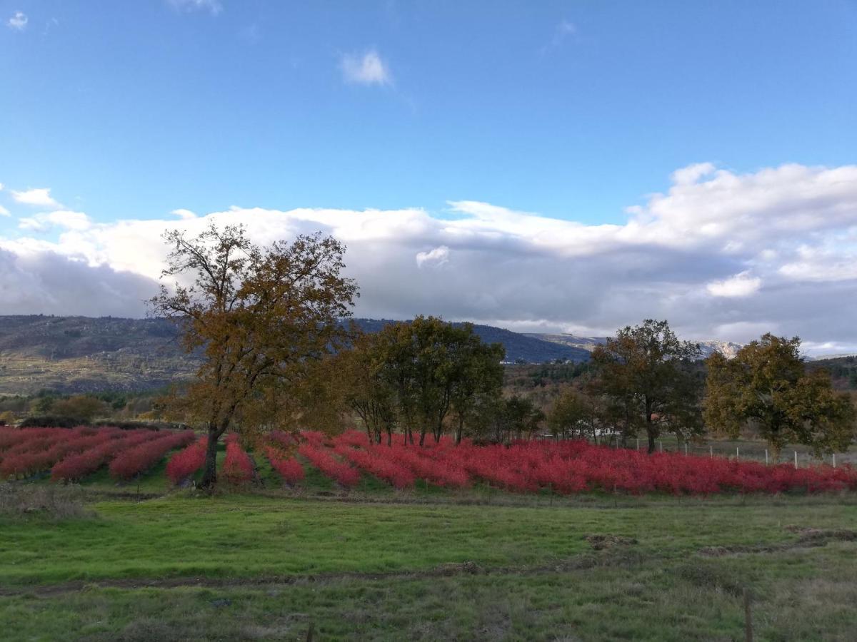 Quinta Dos Carvalhais - Serra Da Estrela Fornos de Algodres Exterior foto